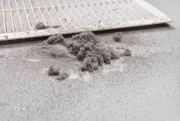 Best Best Air Duct Cleaning Company  in Mather, CA
