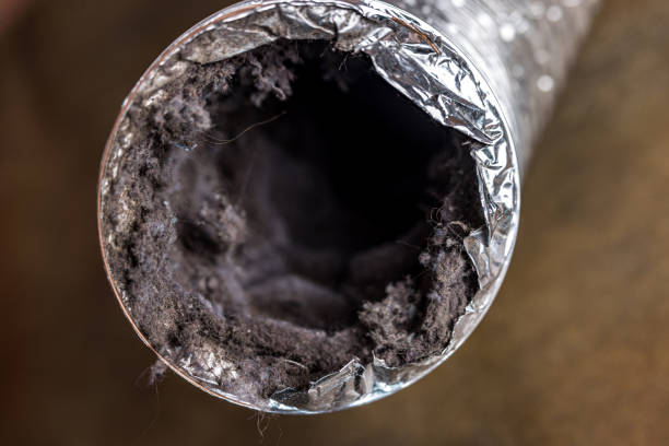 Best Duct Cleaning for Homes  in Mather, CA